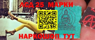 прущие грибы Можайск