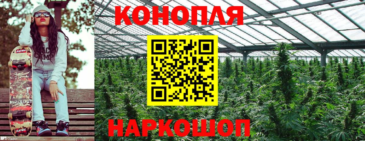 Конопля гибрид  Канабис LSD WEED  Тольятти  Вход с VPN  Каннабис план  Конопля AK-47 